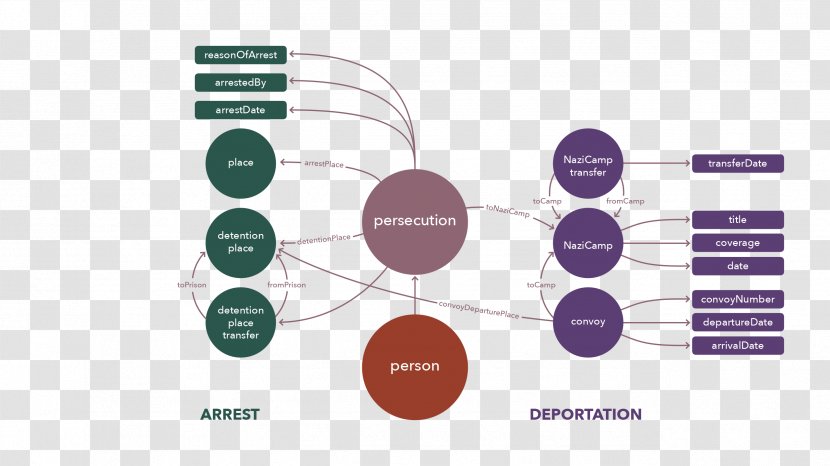 Graphic Design Brand Diagram Organization - Communication Transparent PNG