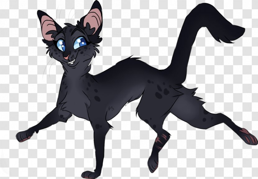 Black Cat Kitten Warriors Leafpool - Erin Hunter Transparent PNG