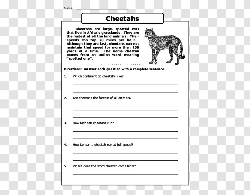 Reading Comprehension Cheetah Teacher Understanding - Mammal Transparent PNG