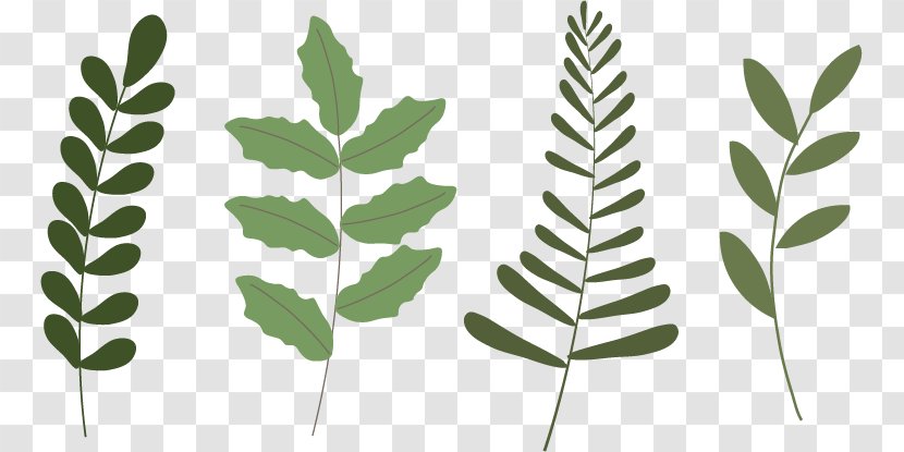Leaf Plant Poinsettia - Branch - Olive Vector Christmas Transparent PNG