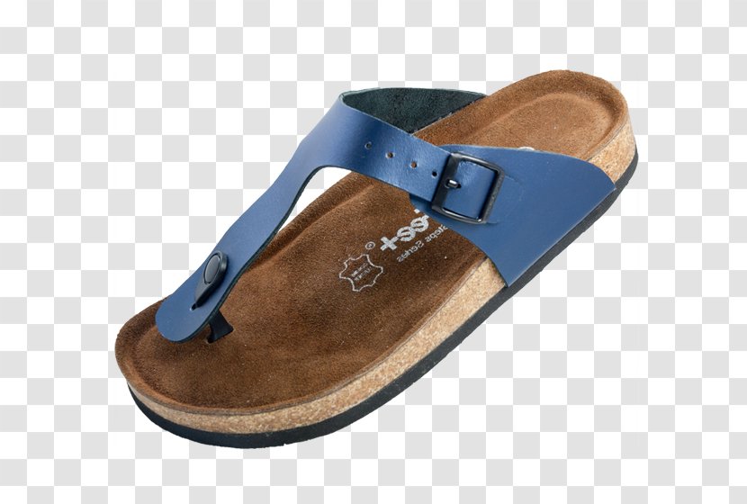 Slipper Flip-flops Slide Sandal Shoe - Foot Pain Transparent PNG