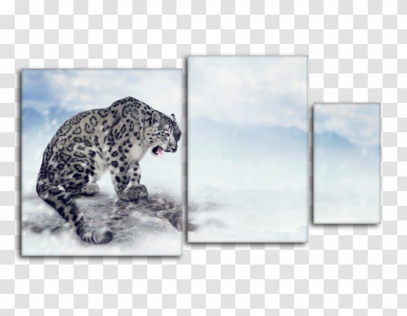 Snow Leopard Stock Photography Royalty-free - Organism Transparent PNG