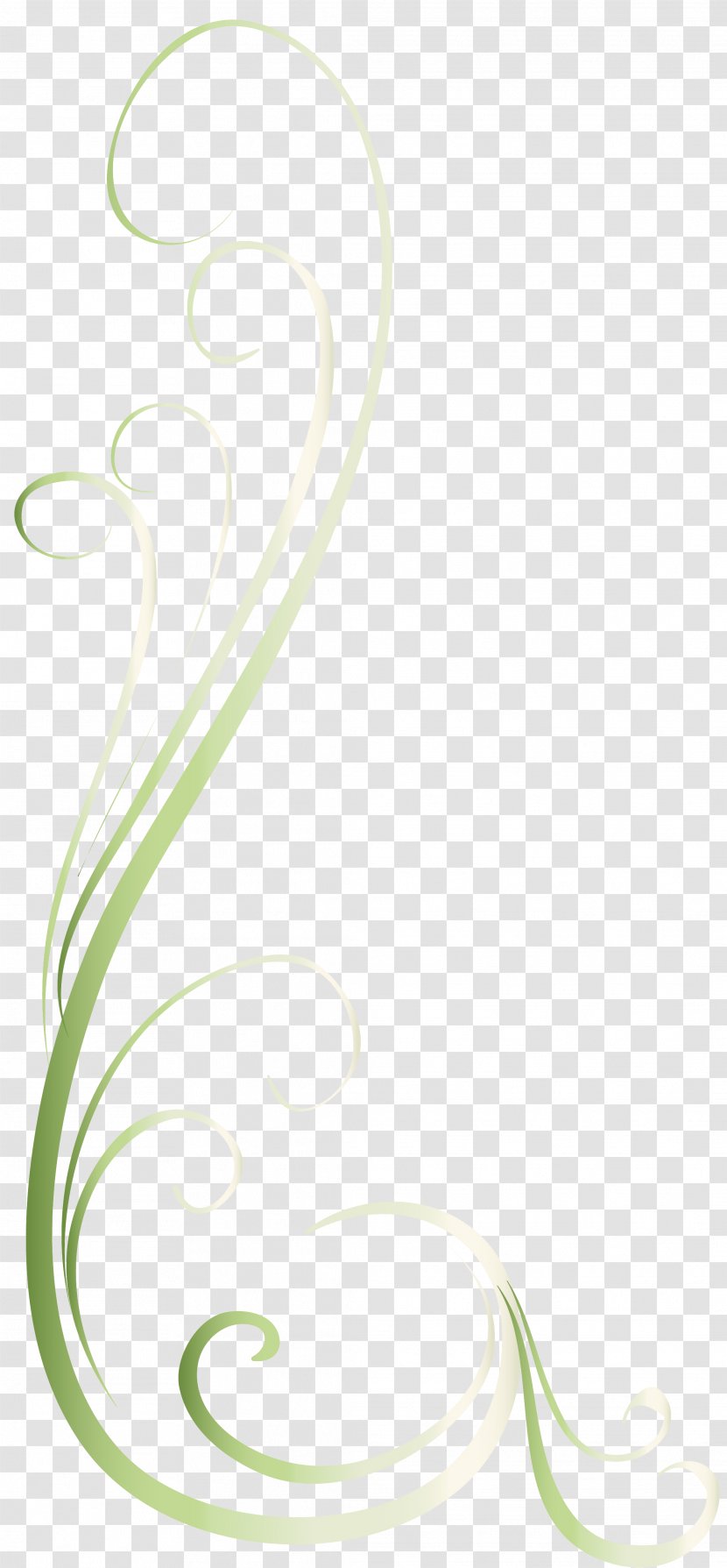 Green Font - Leaf - Floralelement Transparent PNG