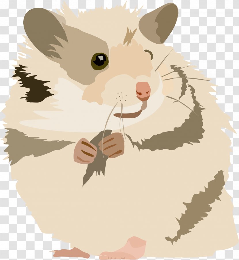 Golden Hamster Gerbil Mouse Rodent - Paw - Cute Cliparts Gerbils Transparent PNG