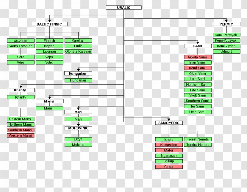 Uralic Languages Language Family Indo-European Finno-Ugric - Diagram - Protodravidian Transparent PNG