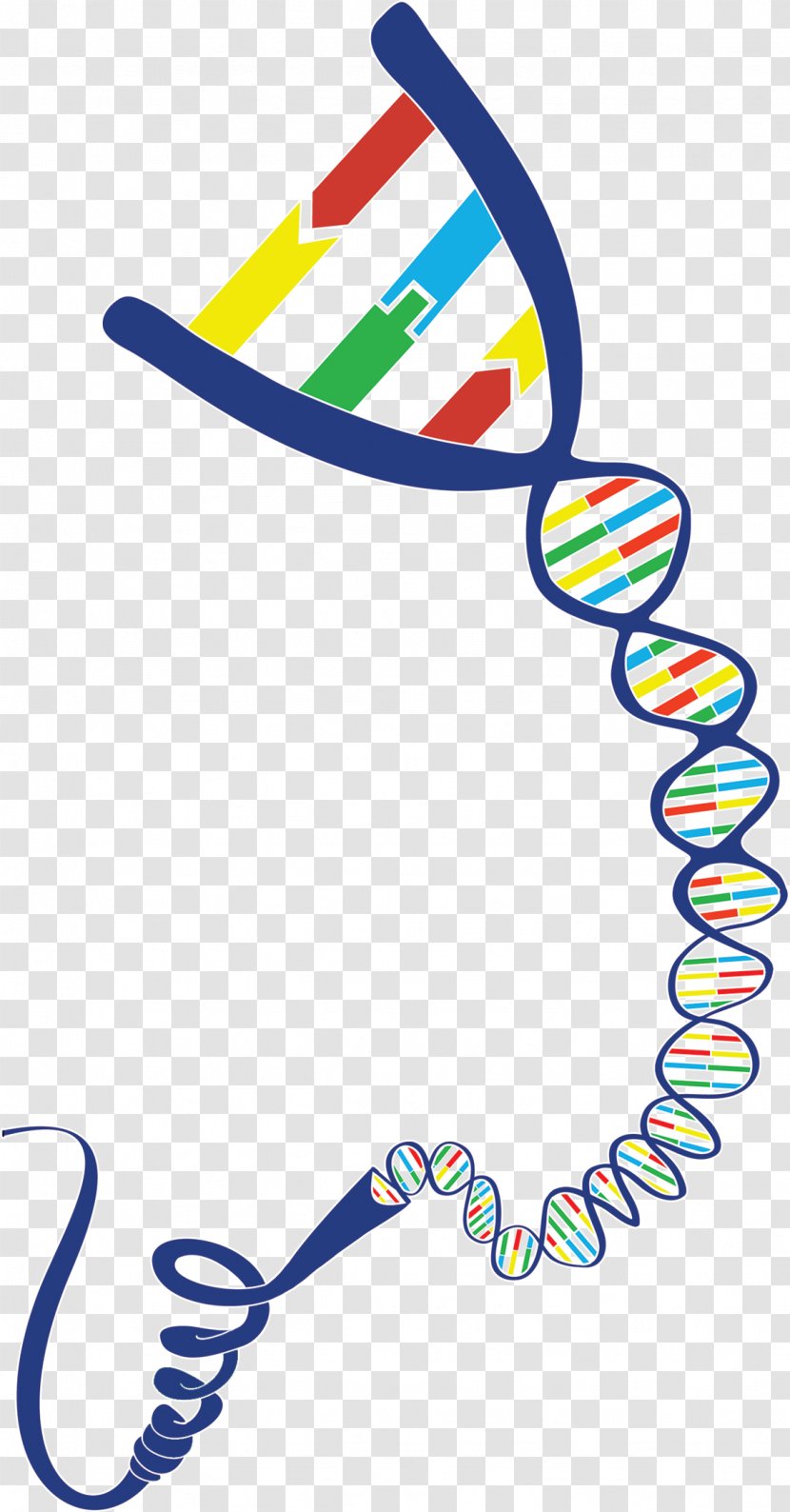 DNA Geneious Gene-Ius Clip Art - Com - Dna Day Transparent PNG