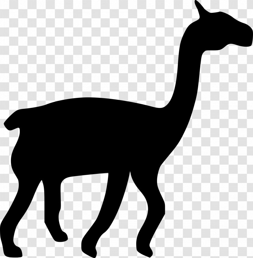 Llama Camel Silhouette Clip Art - Wildlife Transparent PNG
