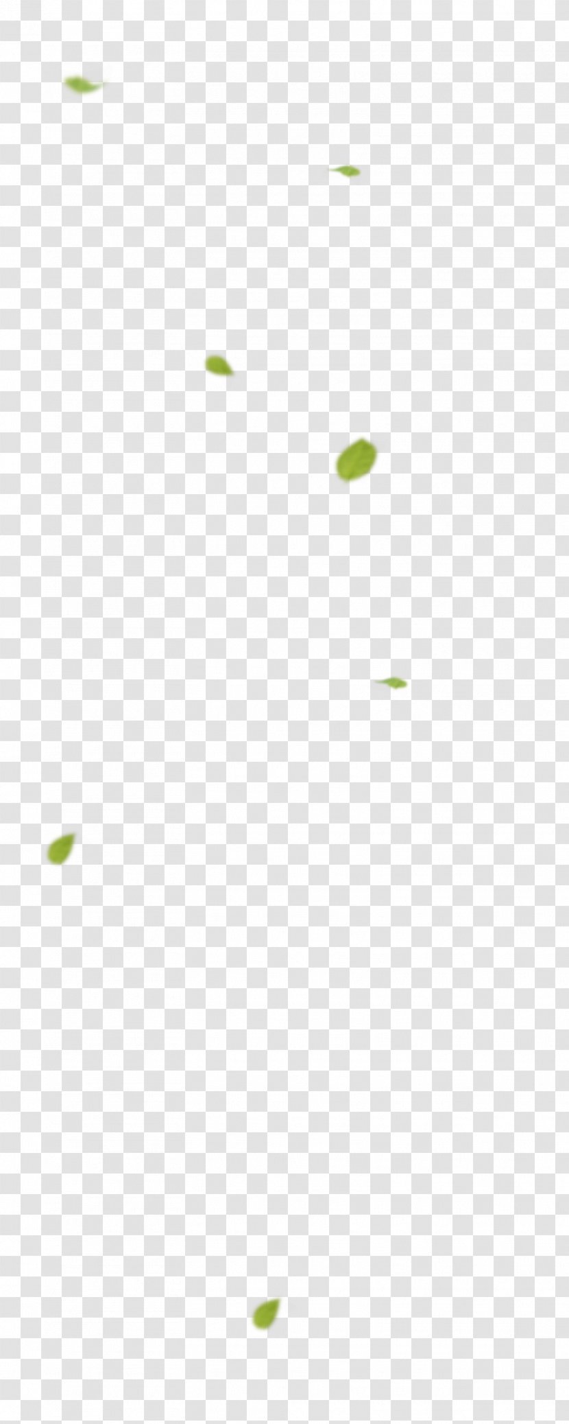 Leaf Pattern - Computer Transparent PNG