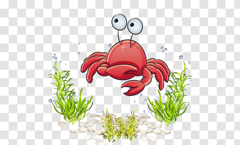 Marine Life Cartoon Royalty-free Clip Art - Deep Sea Creature - World Crab Transparent PNG