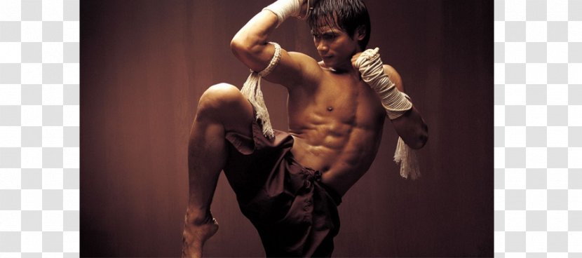 Muay Thai Martial Arts Sports Boxing Combat Sport - Watercolor Transparent PNG