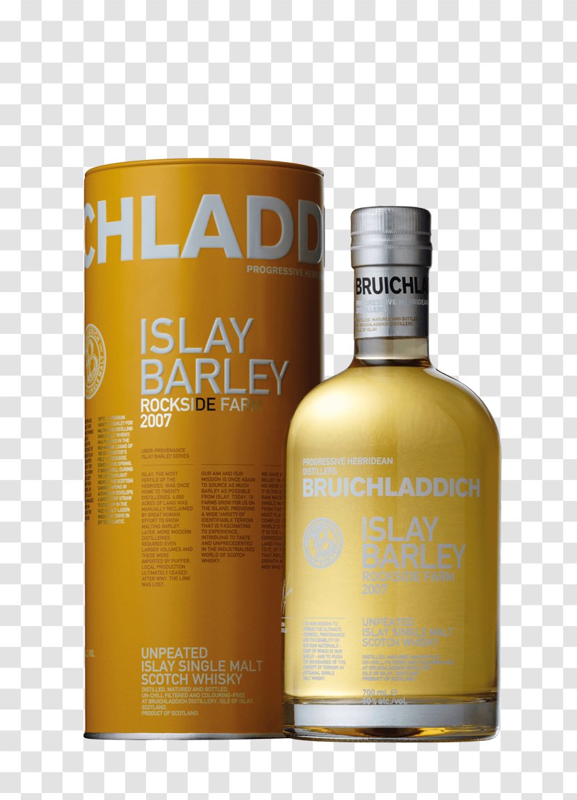 Single Malt Whisky Scotch Whiskey Islay - Liqueur - Barley Transparent PNG