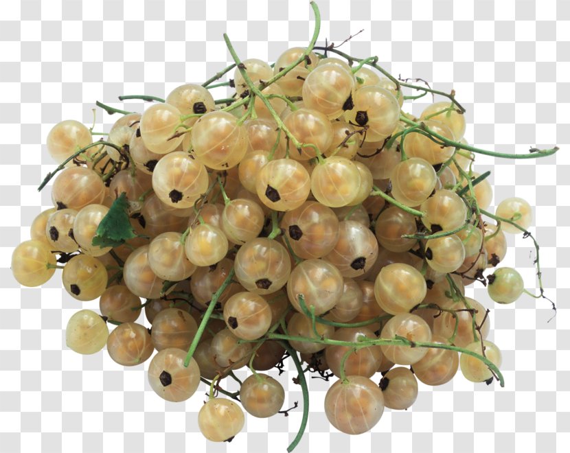 Fruit White Currant Clip Art - Food - 3d Creative Hand-painted Material Transparent PNG