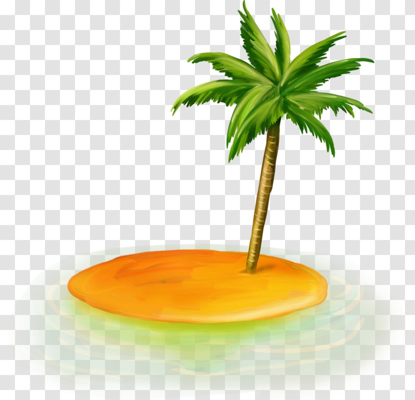 Palm Trees Rubber Fig Natural - Plant - Tree Transparent PNG