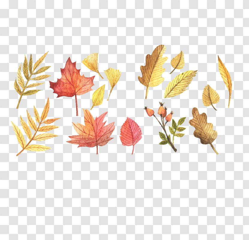 Autumn Leaf Color Clip Art - Scalable Vector Graphics - Leaves Transparent PNG