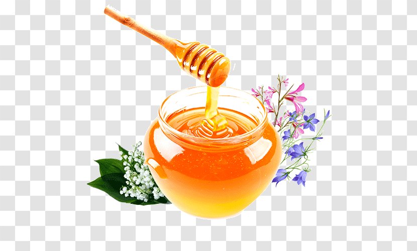 Honey Sweet Clovers Disease Bee Health - Beekeeping Transparent PNG