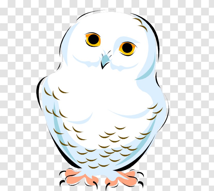 Snowy Owl Clip Art Image Vector Graphics - Bird Transparent PNG