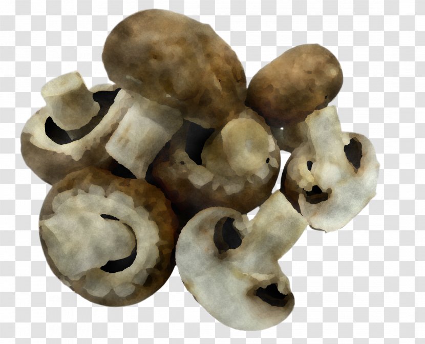 Champignon Mushroom Bone Figurine Agaricus - Skull - Oyster Beige Transparent PNG
