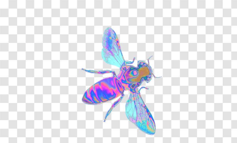 Butterfly Western Honey Bee Insect Beehive - Patreon Transparent PNG