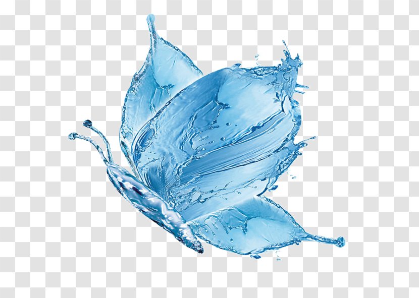 Butterfly Water Blue - Crystal Transparent PNG