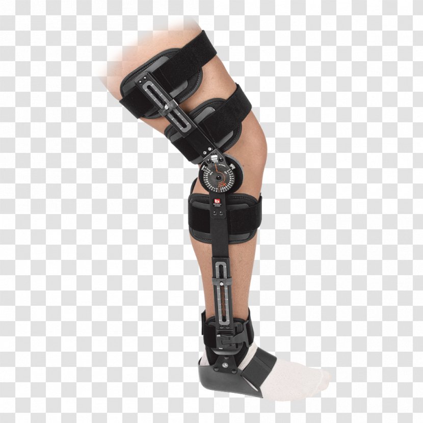 Knee Tibial Plateau Fracture Bone Injury - Flower Transparent PNG