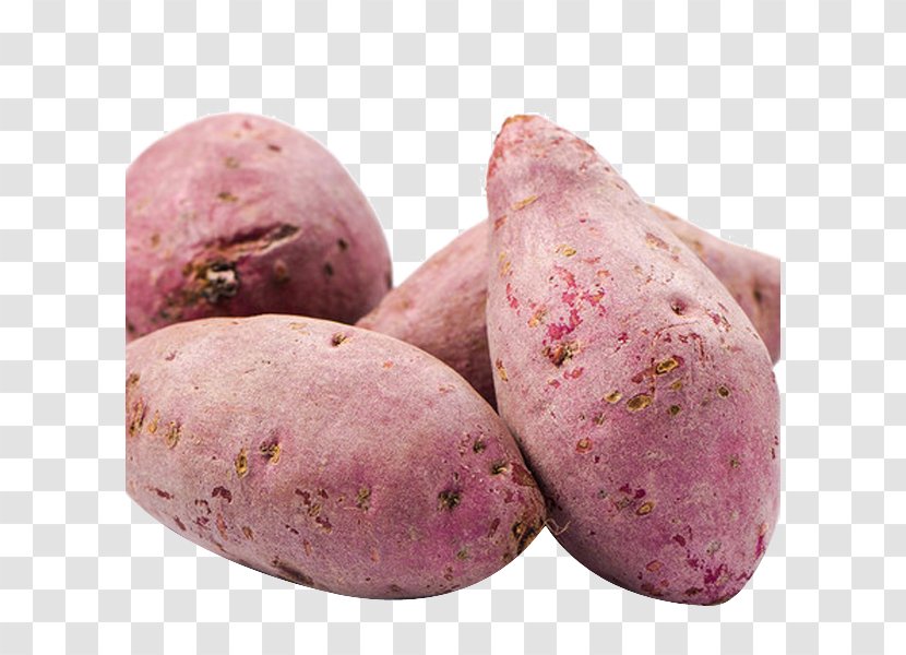 Sweet Potato Vegetable Dioscorea Alata - Food - Fresh Potatoes Transparent PNG