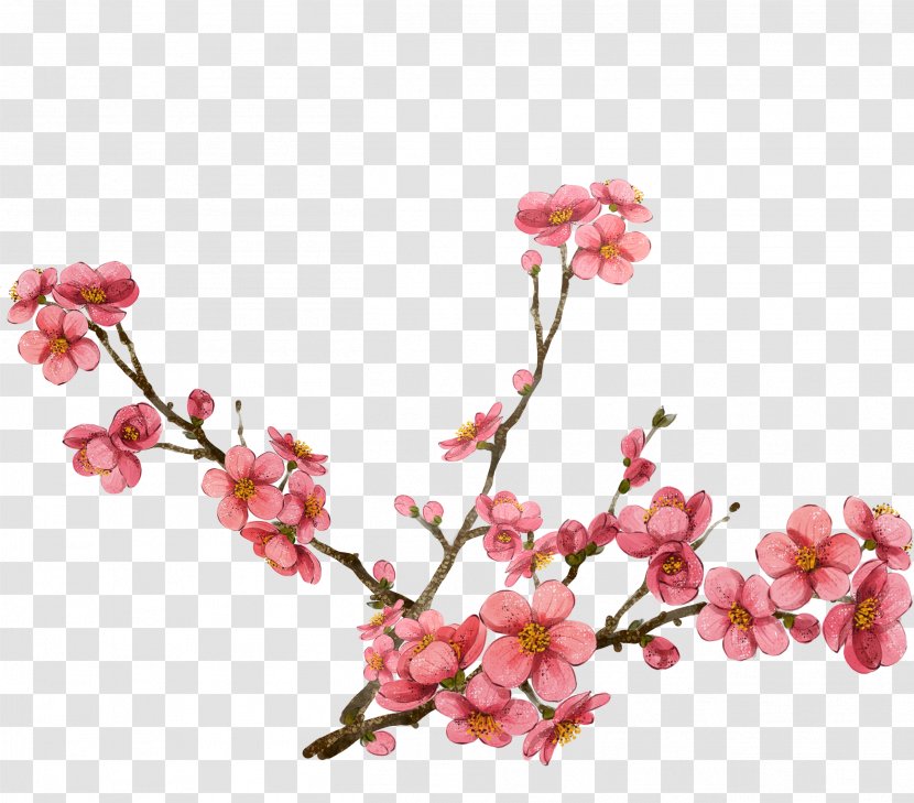 Watercolor Painting Plum Blossom Clip Art - Twig - Pink Design Transparent PNG