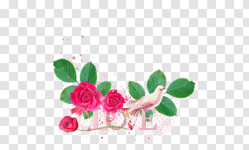 Garden Roses Valentine's Day Clip Art - Flower Arranging - Flowering Plant Transparent PNG