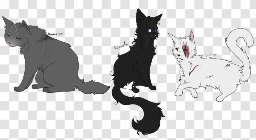 Whiskers Black Cat Dog Canidae - Silhouette Transparent PNG