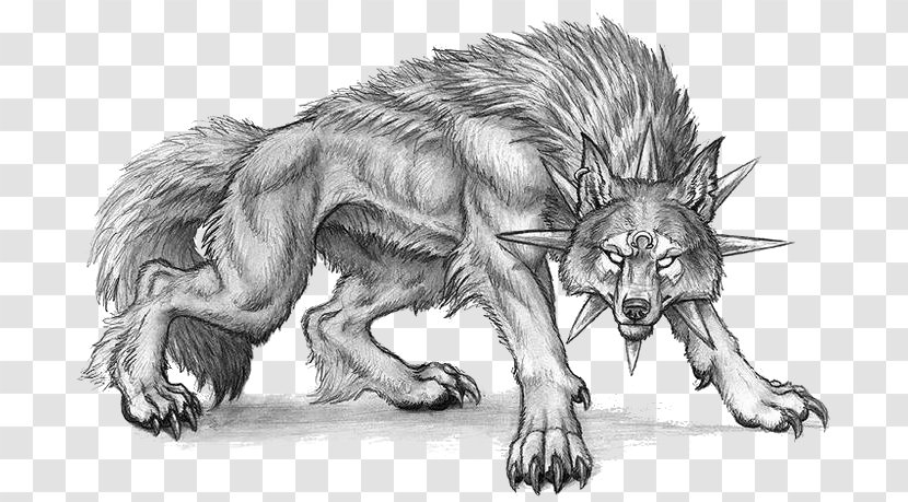 Bloodhound Drawing Canidae Sketch - Hound - Lion Transparent PNG