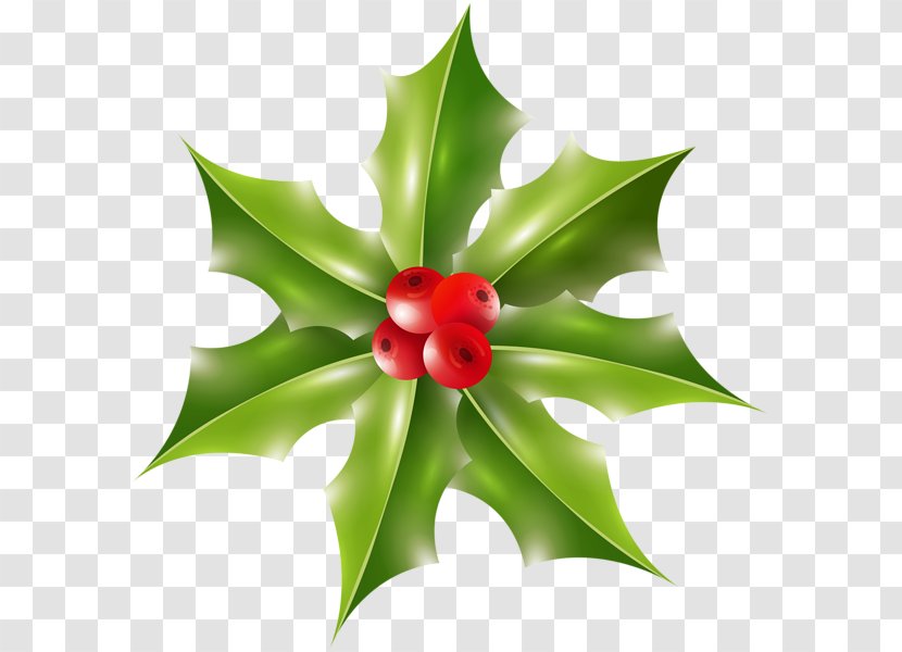 Clip Art Image Christmas Day Vector Graphics - Flowering Plant - Decoration Transparent PNG