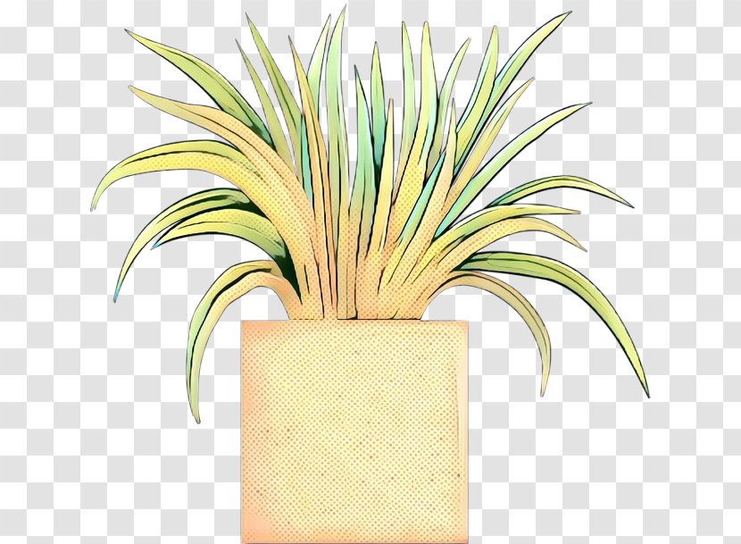 Flower Arecales Pineapple Grasses - Botany - Plant Transparent PNG