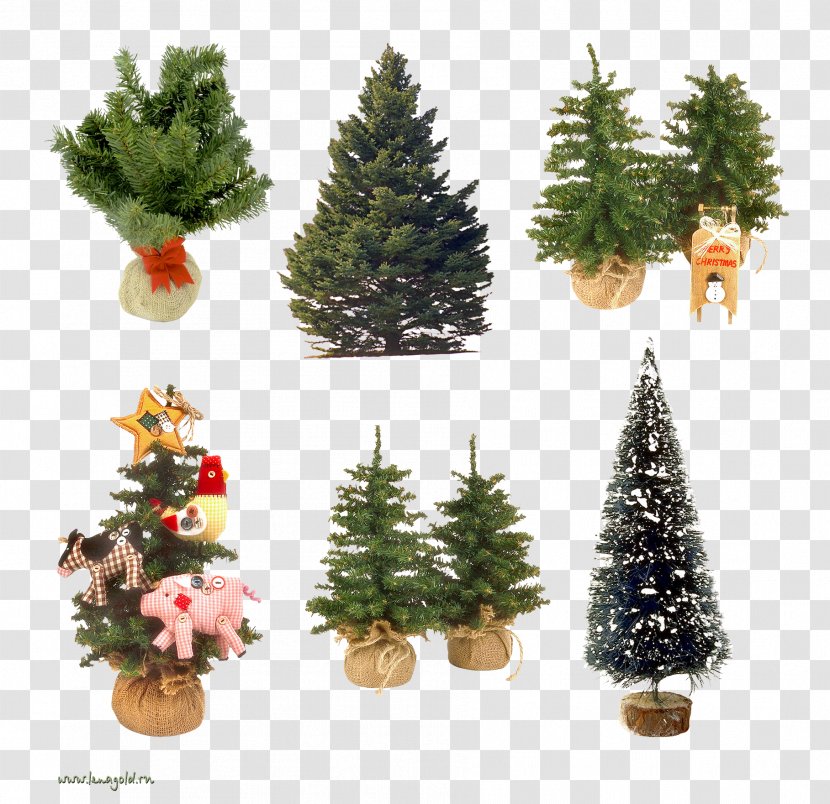 Christmas Tree Ornament New Year Spruce Clip Art - Evergreen Transparent PNG