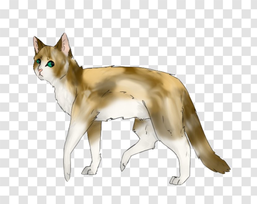 Whiskers Norwegian Lundehund Kitten Domestic Short-haired Cat Red Fox Transparent PNG