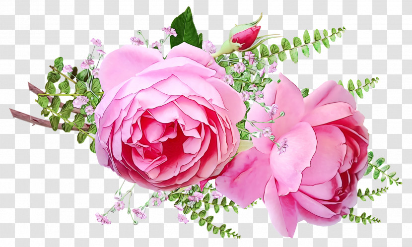 Garden Roses Transparent PNG