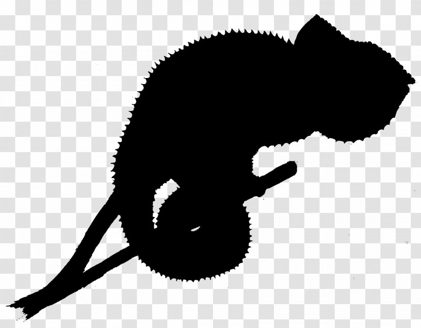 Cat Clip Art Silhouette Fauna Tail Transparent PNG