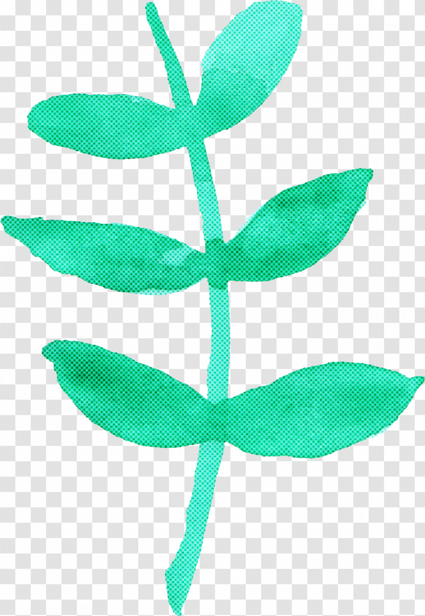 Leaf Green Plant Plant Stem Flower Transparent PNG