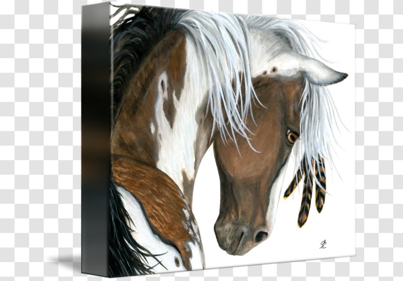 American Paint Horse Mustang Pony Mane Quarter - Painted Transparent PNG