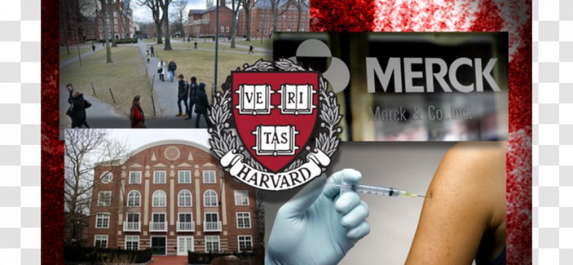 Harvard University Centers For Disease Control And Prevention Mumps - Epidemic - Public Health Transparent PNG