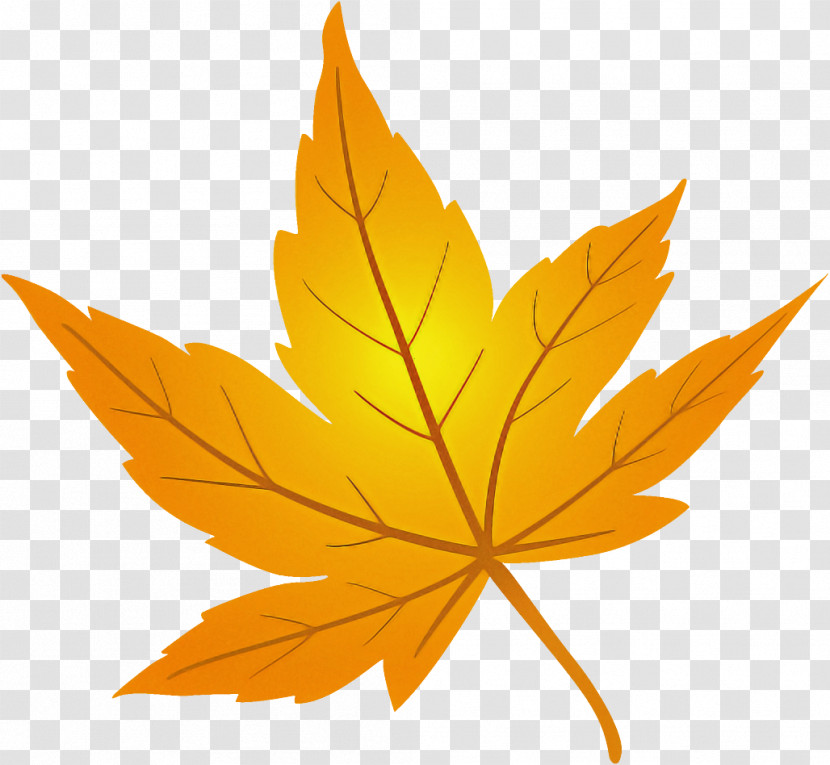 Maple Leaf Fallen Leaf Dead Leaf Transparent PNG