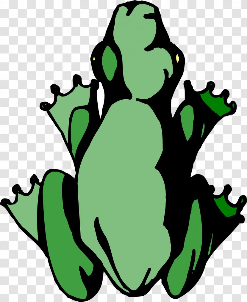 Edible Frog Amphibian Legs The Tree Transparent PNG
