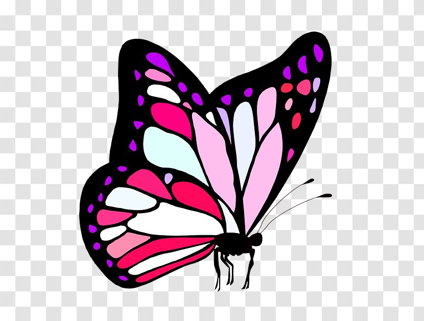 Butterfly Pink Moths And Butterflies Insect Clip Art - Brushfooted Wing Transparent PNG
