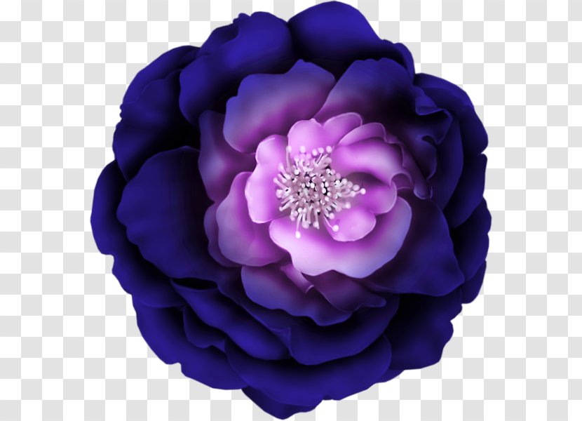 Flower Purple Clip Art - Violet Transparent PNG