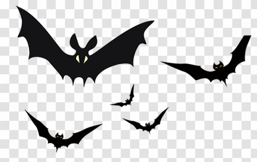 Bat Halloween Horror - Aero The Acro-Bat Transparent PNG