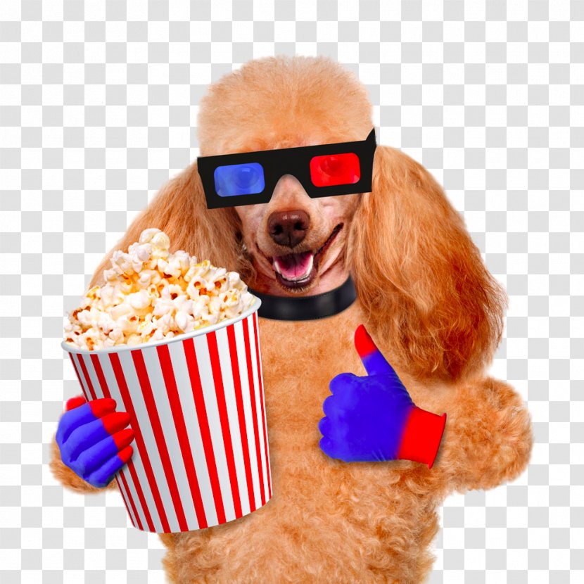 Dog Popcorn Cinema Film Stock Photography - Stockxchng - Pug Transparent PNG