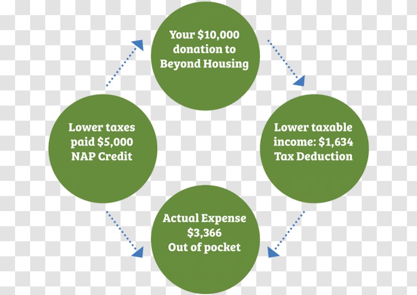 Brand Organization - Diagram - Design Transparent PNG