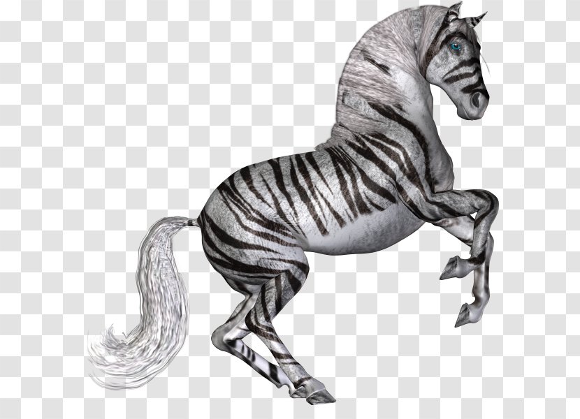 Tiger Horse Mustang Panther White - Animal Transparent PNG