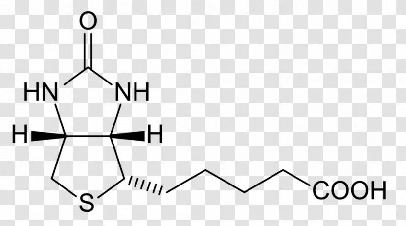 Biotinylation Dietary Supplement Avidin Chemistry - Flower - Frame Transparent PNG