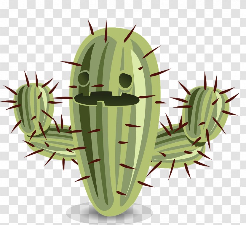 Cactaceae Amazon.com Thorns, Spines, And Prickles Clip Art - Caryophyllales - Cartoon Cactus Transparent PNG