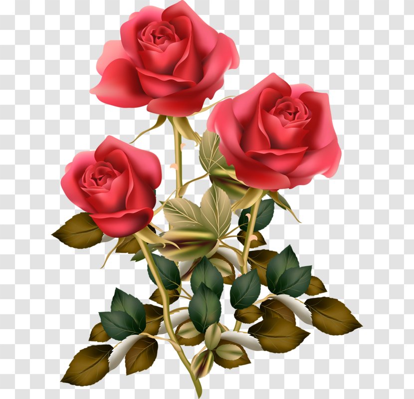 Clip Art Rose Image Illustration - Flowering Plant - Fler Transparent PNG