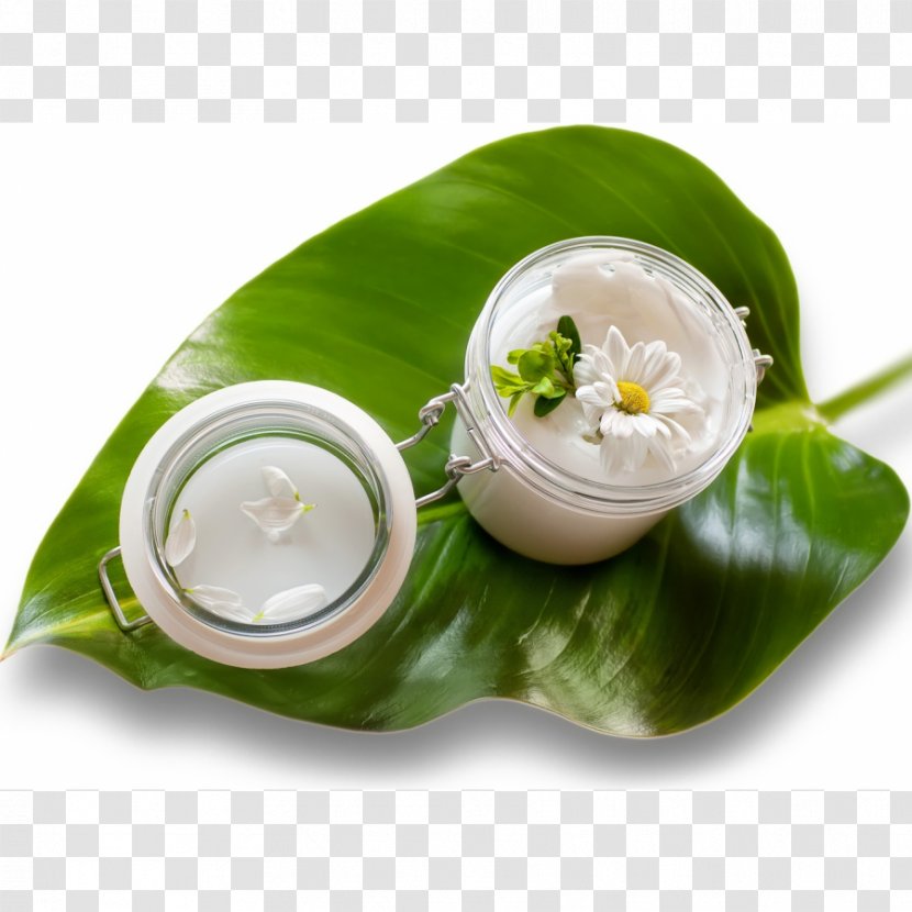 Dietary Supplement Cosmetics Pharmaceutical Drug Cream Herb - Skin Care - Ayurveda Transparent PNG